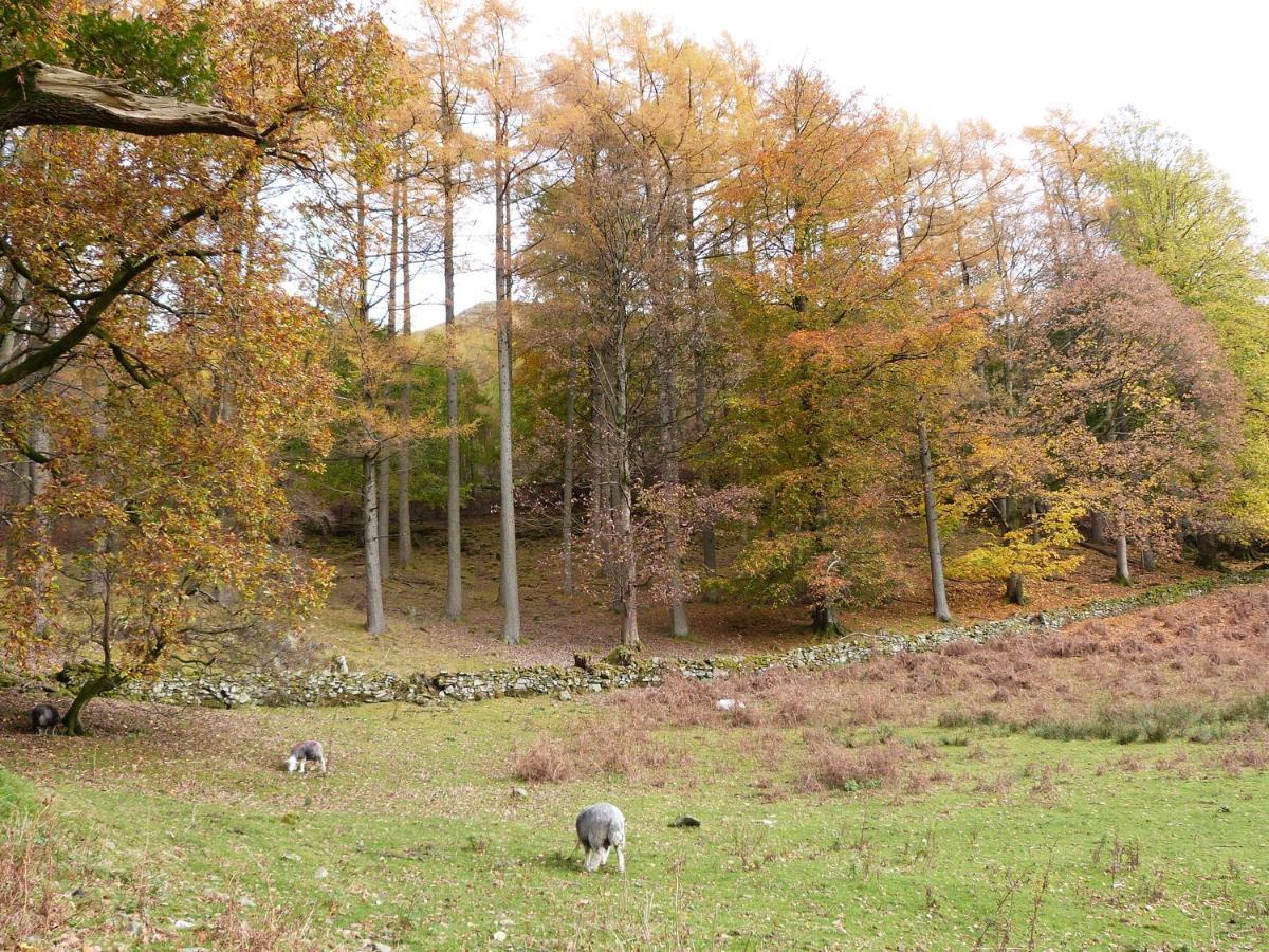 Hazel - Woodland Cottages ボウネス＝オン＝ウィンダミア エクステリア 写真